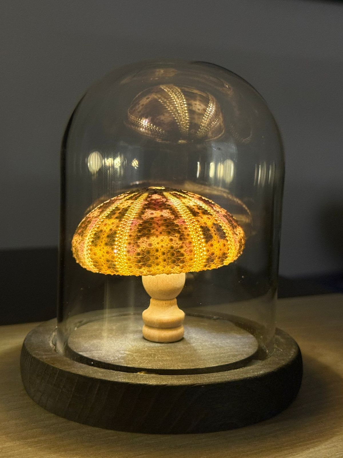 Ocean Aura Dome